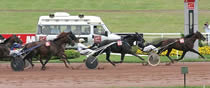 Meeting de Trot